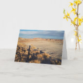 Wüstenwache: versteinertes Forest National Park Fo Karte (Gelbe Blume)