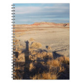 Wüstenwache: versteinertes Forest National Park Fo Notizblock (Vorderseite)