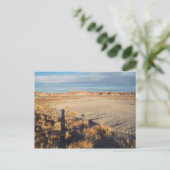 Wüstenwache: versteinertes Forest National Park Fo Postkarte (Stehend Vorderseite)