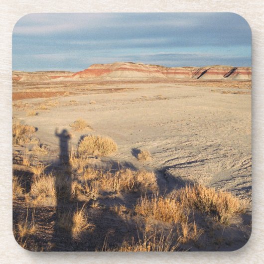 Wüstenwache: versteinertes Forest National Park Fo Untersetzer (Vorderseite)