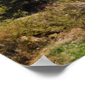 Wüstenweg mit Yucca und Bergen Poster (Ecke)