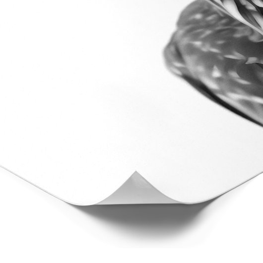 Wüstenweg-Runner-Vogelportrait Poster (Ecke)