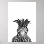 Wüstenweg-Runner-Vogelportrait Poster (Vorne)