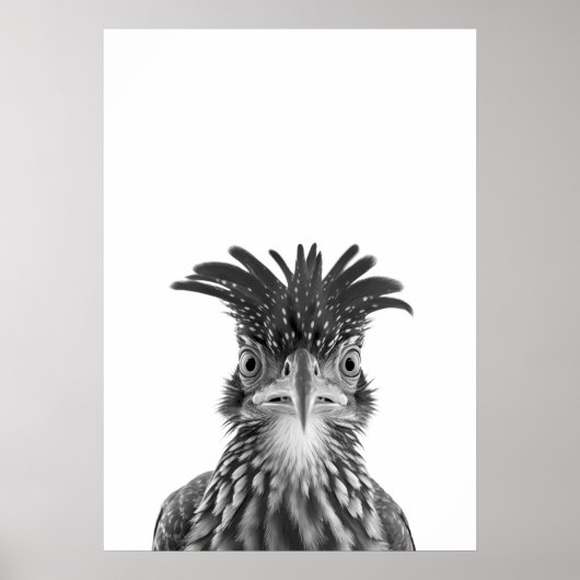 Wüstenweg-Runner-Vogelportrait Poster (Vorne)
