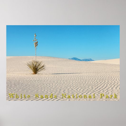 Wüstenweiße Sandlandschaft und Yucca Poster (Vorne)