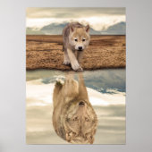 WüstenWolf Pup Water Reflection Poster (Vorne)