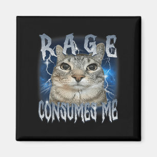 Wut verbraucht mich Katze Vintage Lustiges Meme Magnet