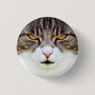 wütende Katze Button
