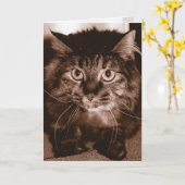 Wütende Katze Karte (Gelbe Blume)