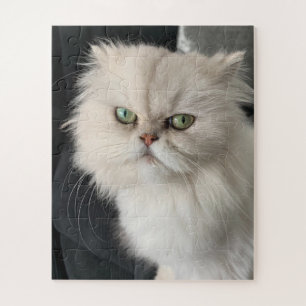 Wütende Katze Lustiges Haustier Puzzle