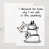 Wütende Katze will Teil der Hochzeit sein (Vorne/Hinten)
