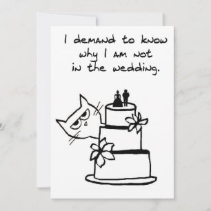 Wütende Katze will Teil der Hochzeit sein