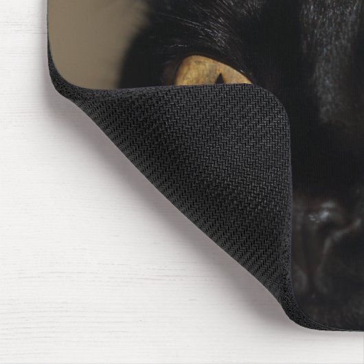 Wütende KatzenMausunterlage Mousepad (Ecke)