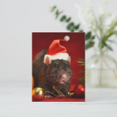 Wütender Zwerg. Postkarte (Stehend Vorderseite)