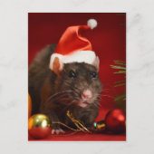 Wütender Zwerg. Postkarte (Vorderseite)