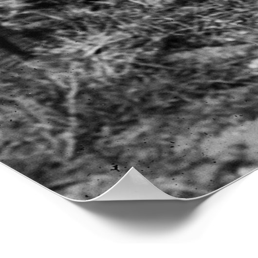 WW1 German Fighter Flugzeug, 1910er Poster (Ecke)