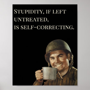 WW2 Army Typ Fab Funny Stupidity Poster