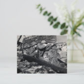 WWII Dutch Snipers Postkarte (Stehend Vorderseite)