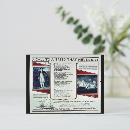 Wwii Navy Recruit2 Postkarte (Stehend Vorderseite)