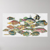 WWW FISH POSTER (Vorne)