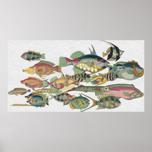 WWW FISH POSTER (Vorne)
