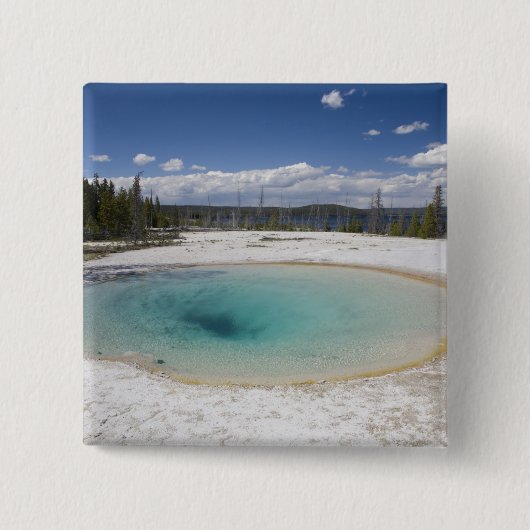 WY, Yellowstone Nationalpark, West Thumb Geyser Button (Vorderseite)