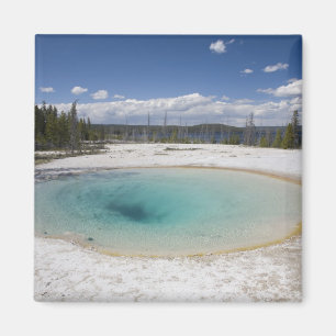 WY, Yellowstone Nationalpark, West Thumb Geyser Magnet