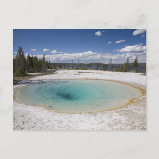 WY, Yellowstone Nationalpark, West Thumb Geyser Postkarte (Vorderseite)