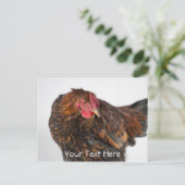Wyandotte Chicken Postkarte (Stehend Vorderseite)