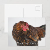 Wyandotte Chicken Postkarte (Vorne/Hinten)