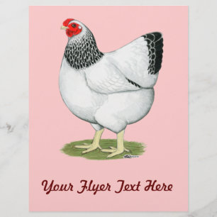 Wyandotte: Columbian Hen