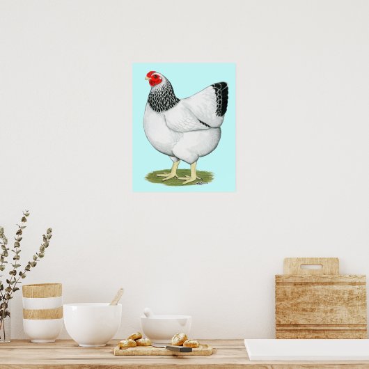 Wyandotte: Columbian Hen Poster (Küche)