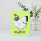 Wyandotte: Columbian Hen Postkarte (Stehend Vorderseite)
