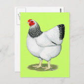 Wyandotte: Columbian Hen Postkarte (Vorne/Hinten)