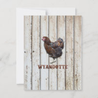 Wyandotte