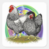 Wyandotte: Easter Egg Pair Quadratischer Aufkleber (Vorderseite)
