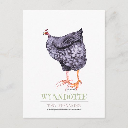 WYANDOTTE HEN, tony fernandes Postkarte (Vorderseite)