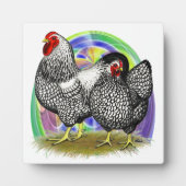 Wyandotte: Ostereierpaare Fotoplatte (Vorderseite)