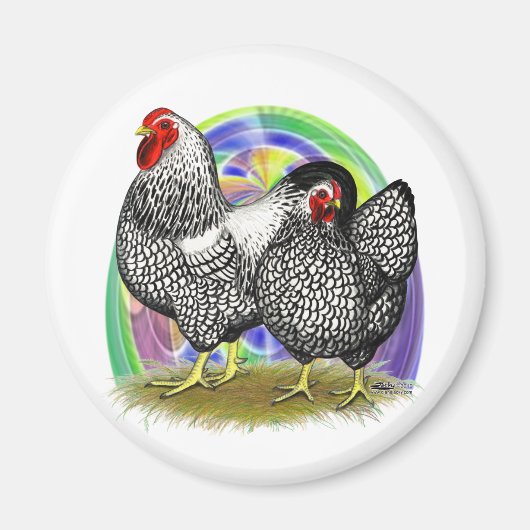 Wyandotte: Ostereierpaare Magnet (Vorne)