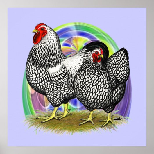 Wyandotte: Ostereierpaare Poster (Vorne)