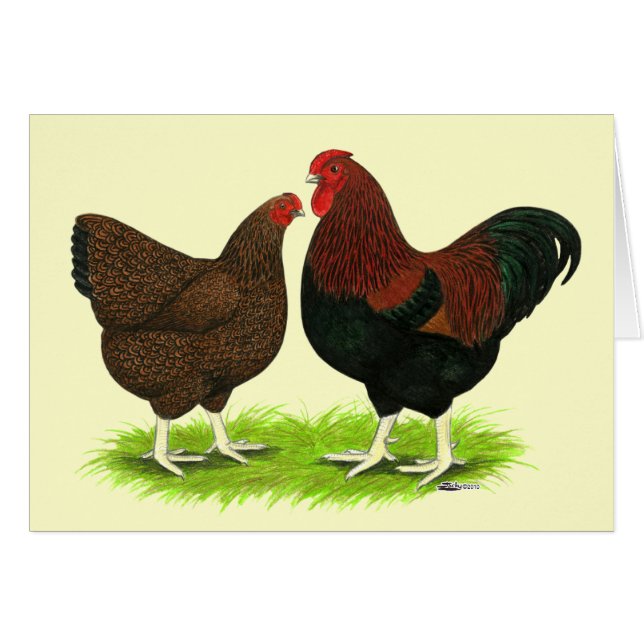 Wyandotte: Partridge Pair (Vorderseite (Horizontal))