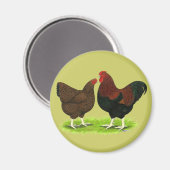 Wyandotte: Partridge Pair Magnet (Vorderseite/Rückseite)