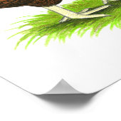 Wyandotte: Partridge Pair Poster (Ecke)