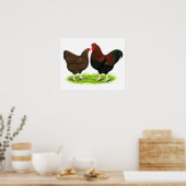 Wyandotte: Partridge Pair Poster (Küche)