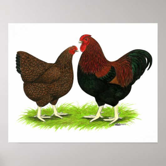 Wyandotte: Partridge Pair Poster (Vorne)