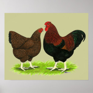 Wyandotte: Partridge Pair Poster
