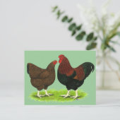 Wyandotte: Partridge Pair Postkarte (Stehend Vorderseite)