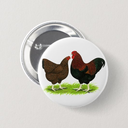 Wyandotte:  Rebhuhn-Paare Button (Vorne & Hinten)