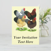 Wyandotte: Roster-Sortiment Einladung (Stehend Vorderseite)