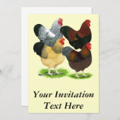 Wyandotte: Roster-Sortiment Einladung (Vorne/Hinten)